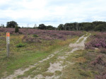 Sallandse Heuvelrug